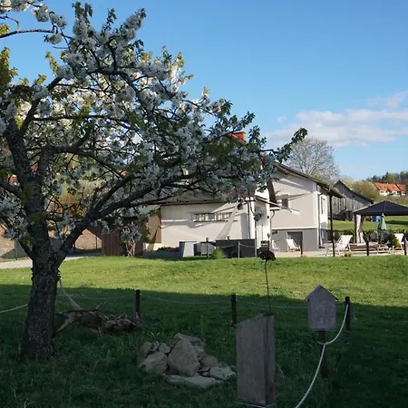 Prázdninový dům Lieblingsplatzl An Der Weinstrasse
