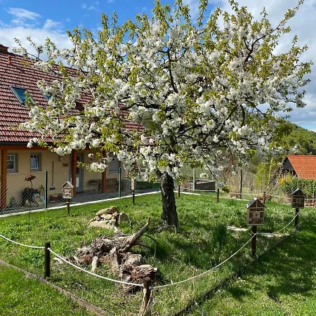 Lieblingsplatzl An Der Weinstrasse Prázdninový dům Ratsch an der Weinstraße